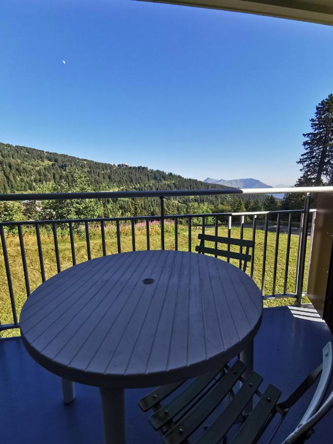 Studio Carina, Terrasse Sud, Reduction Materiel Ski Διαμέρισμα Chamrousse Εξωτερικό φωτογραφία
